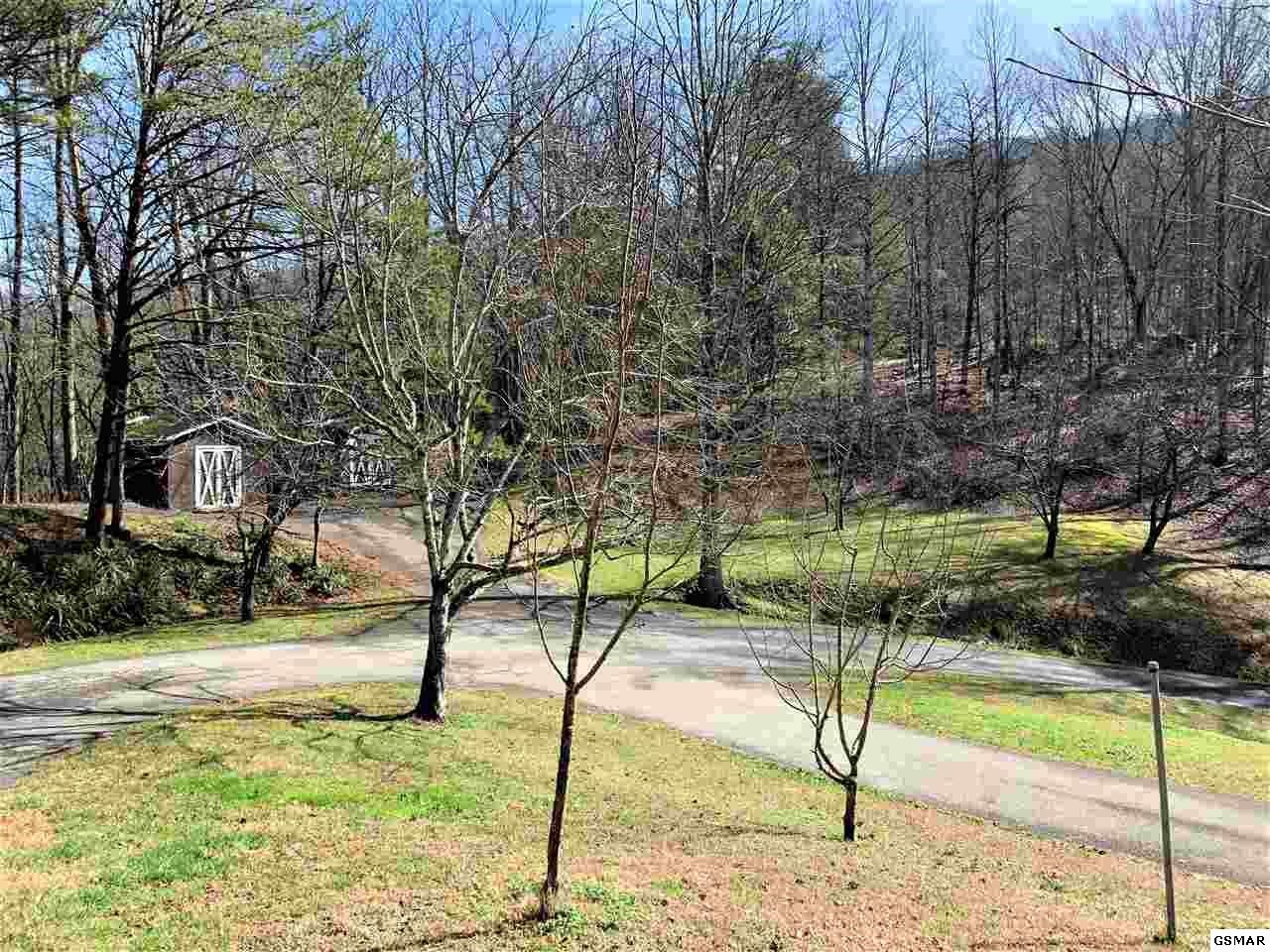 933 Caney Creek Road Sevierville, TN 37863 - Photo 10 of 36