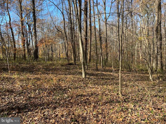 Lot 18 Mountain Ridge Way Culpeper, VA 22701 - Photo 1 of 9 10 acre lot near Town; 5 BR perc Comcast