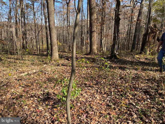 Lot 18 Mountain Ridge Way Culpeper, VA 22701 - Photo 2 of 9 Level area for house site