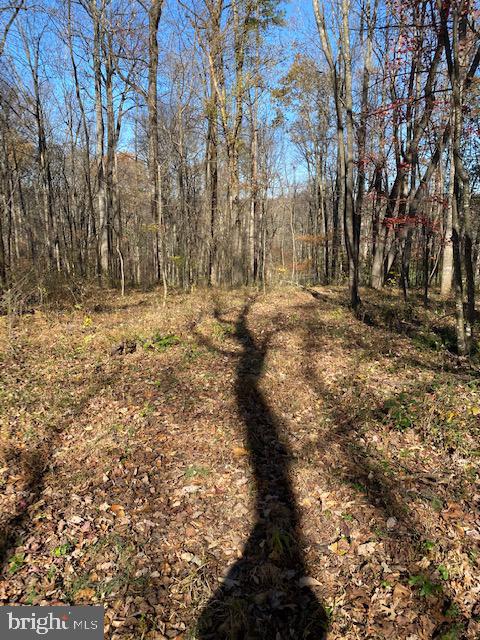 Lot 18 Mountain Ridge Way Culpeper, VA 22701 - Photo 4 of 9 on the lot