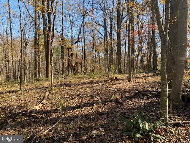 Lot 18 Mountain Ridge Way Culpeper, VA 22701 - Photo 5 of 9 views