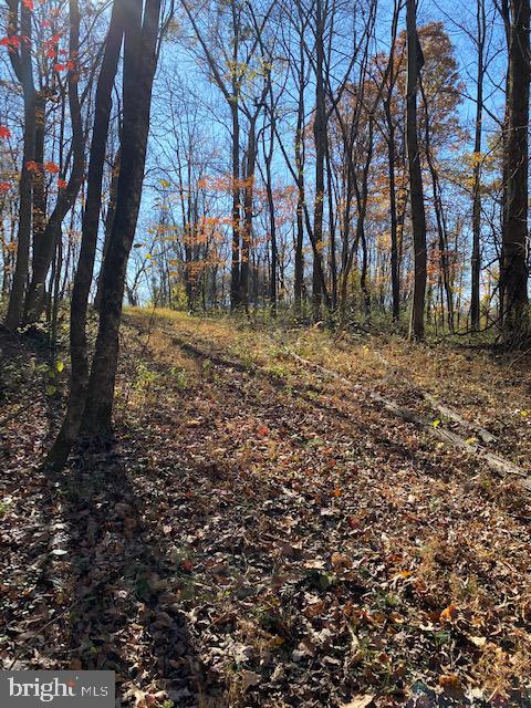 Lot 18 Mountain Ridge Way Culpeper, VA 22701 - Photo 6 of 9 some slope