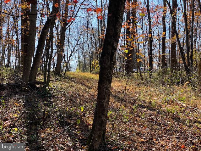 Lot 18 Mountain Ridge Way Culpeper, VA 22701 - Photo 7 of 9 lot view