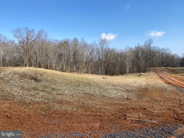 Lot 18 Mountain Ridge Way Culpeper, VA 22701 - Photo 8 of 9 the land along Sky Ridge Trail