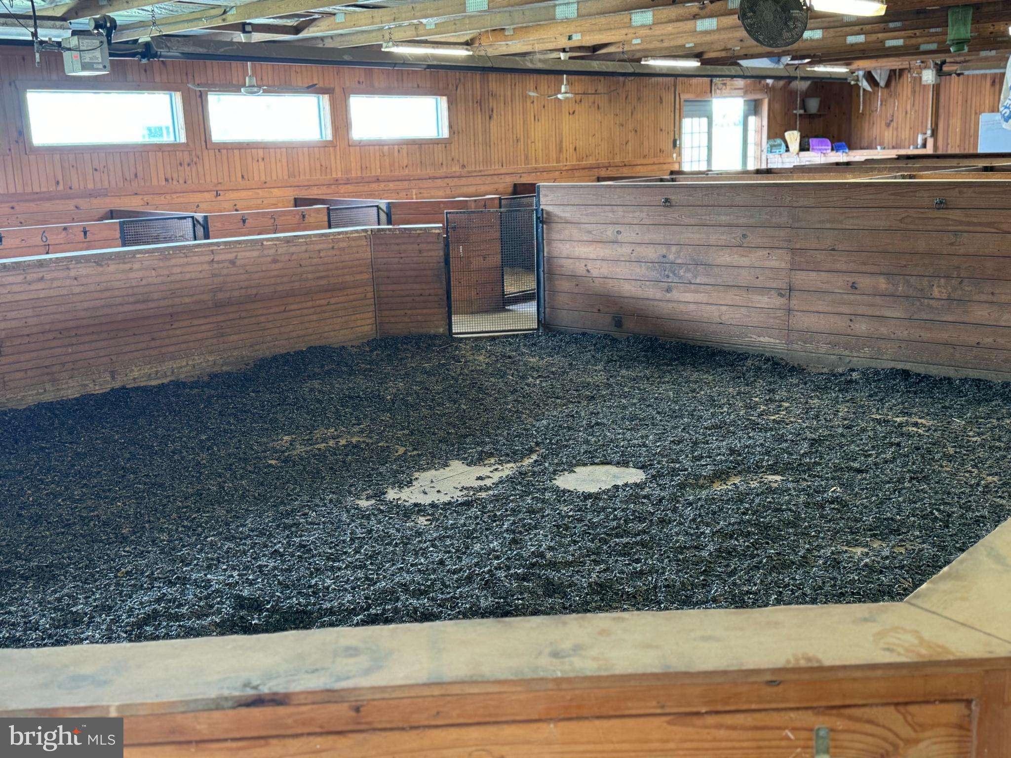 1089 Pond Neck Road Earleville, MD 21919 - Photo 22 of 34 a view of a storage room