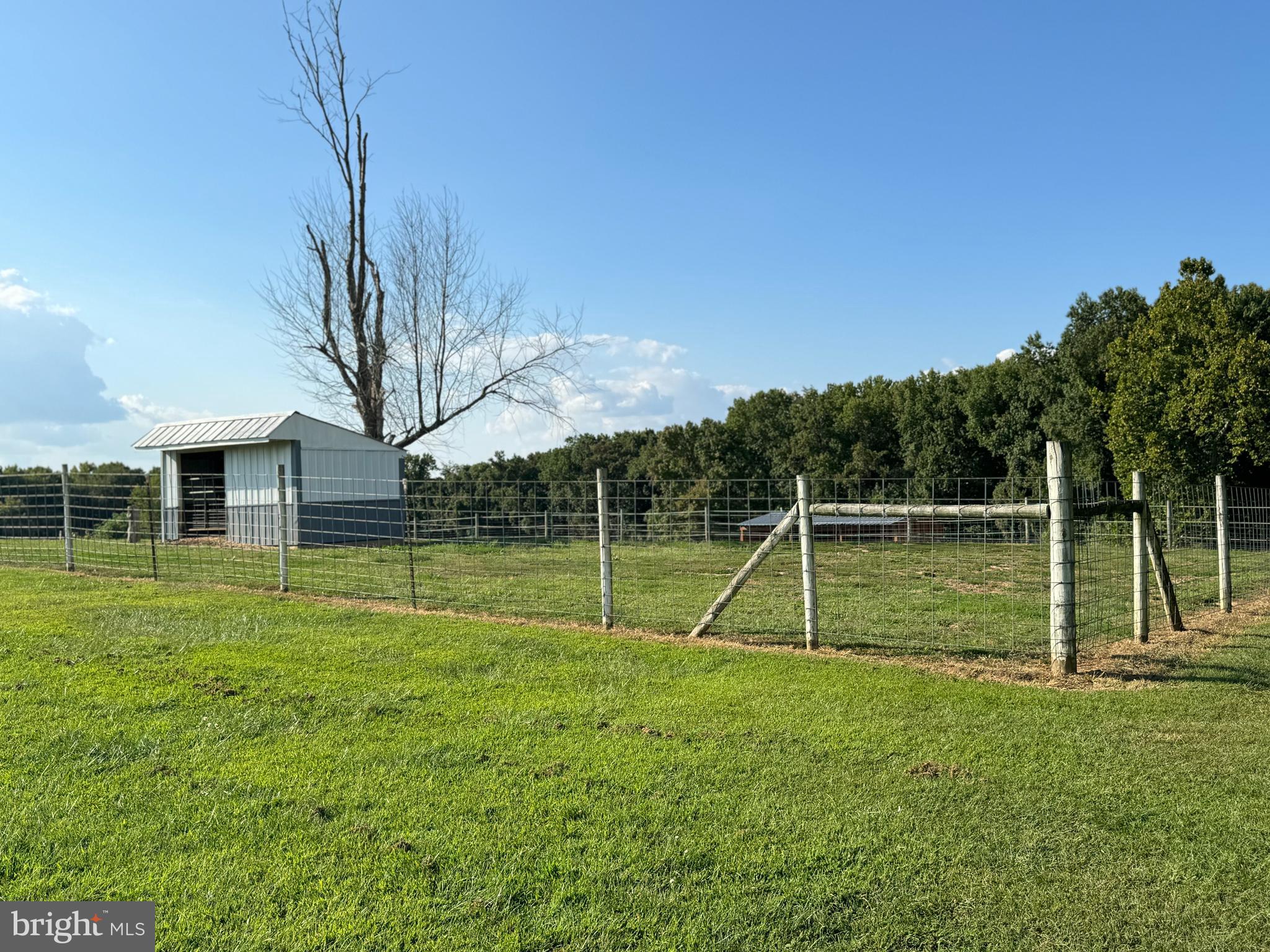 1089 Pond Neck Road Earleville, MD 21919 - Photo 26 of 34 a view of a house with a big yard