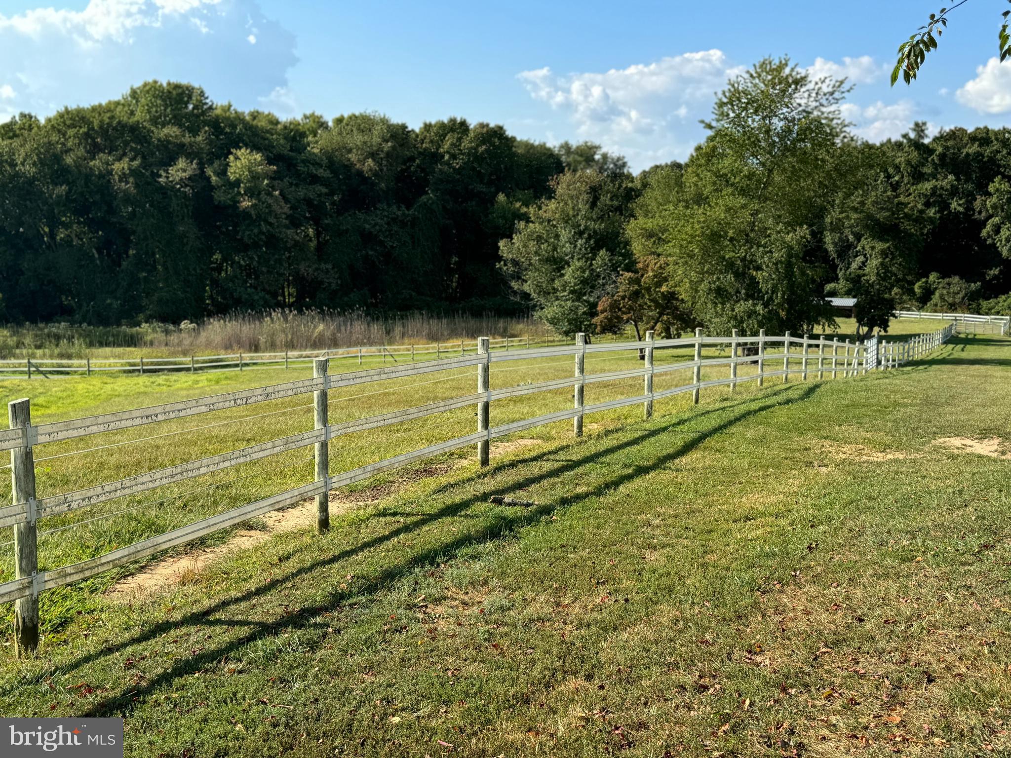 1089 Pond Neck Road Earleville, MD 21919 - Photo 31 of 34 a view of a backyard