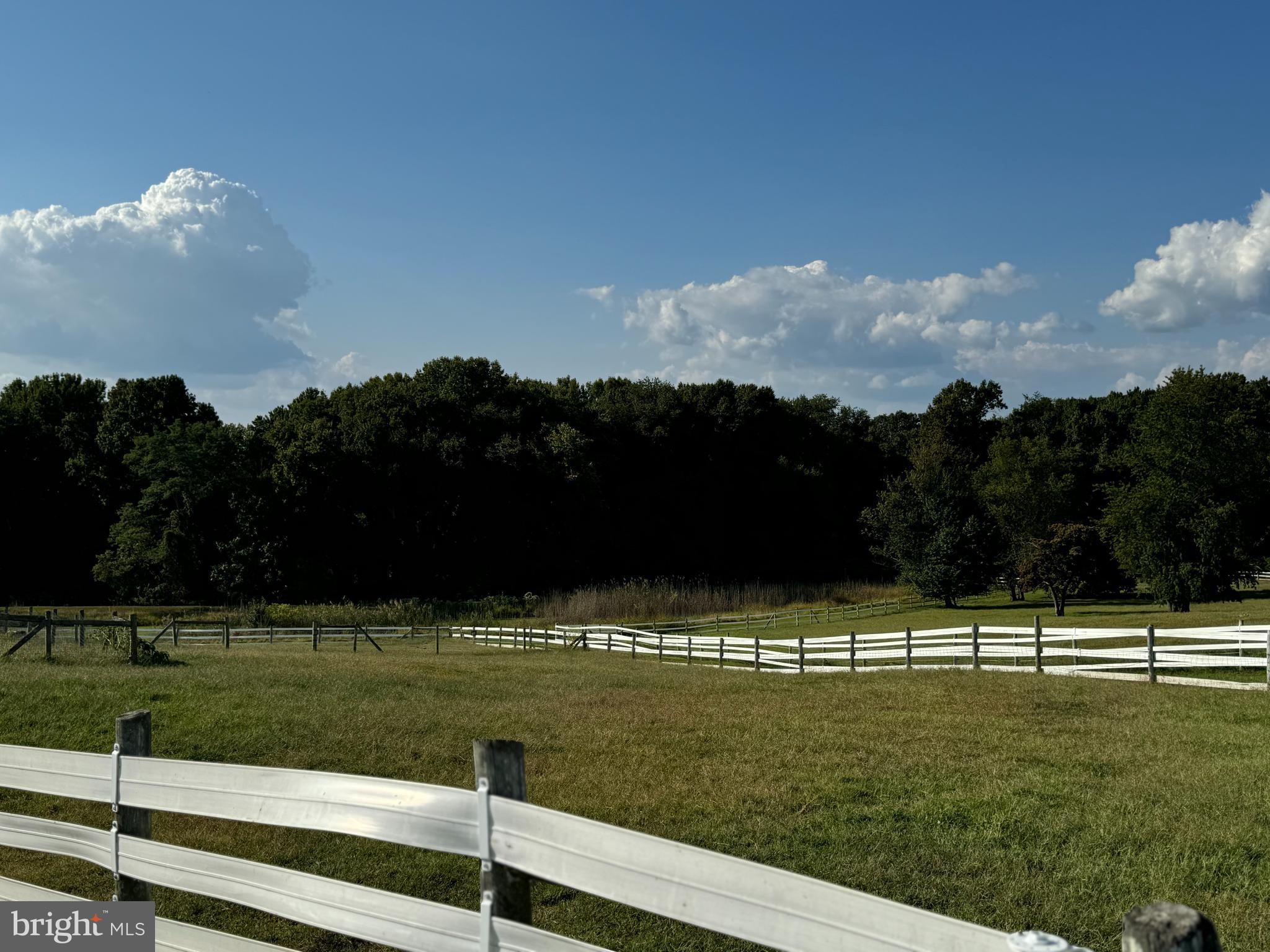 1089 Pond Neck Road Earleville, MD 21919 - Photo 32 of 34 a view of a golf course
