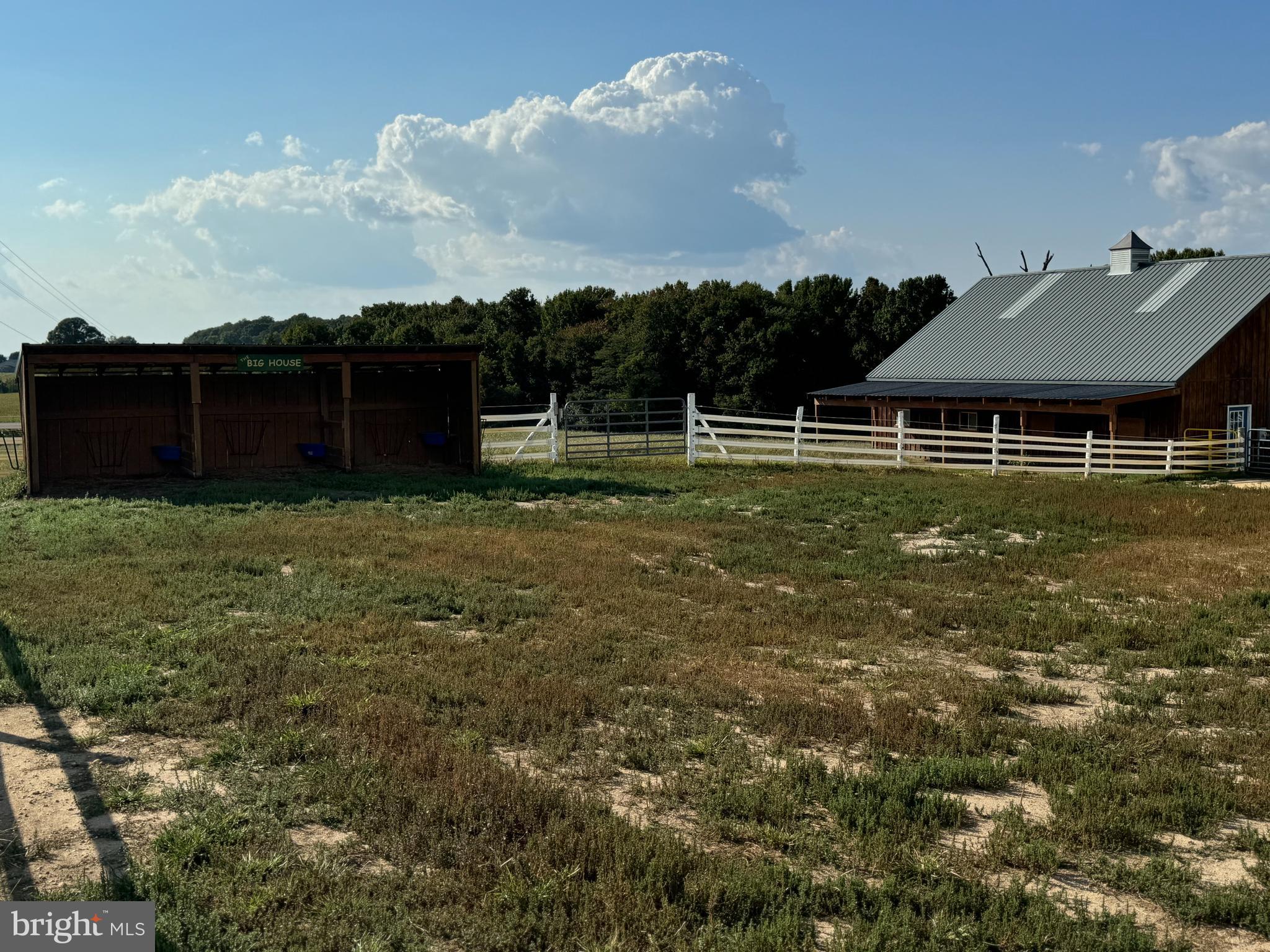 1089 Pond Neck Road Earleville, MD 21919 - Photo 33 of 34 a view of a backyard