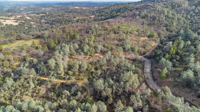 a view of city and green space