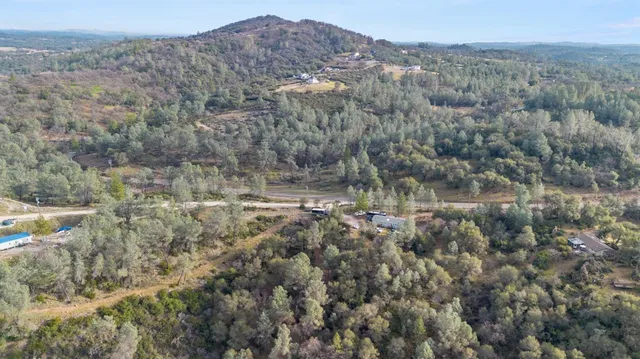 a view of a forest with mountains in the background