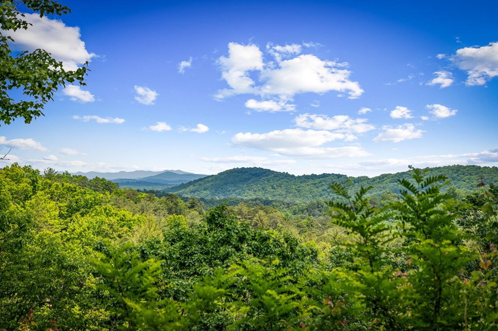 379 Dream Catcher Blue Ridge Blue Ridge, GA 30513 - Photo 5 of 28 a view of a city