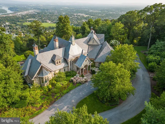 a living room with furniture a fireplace and a chandelier