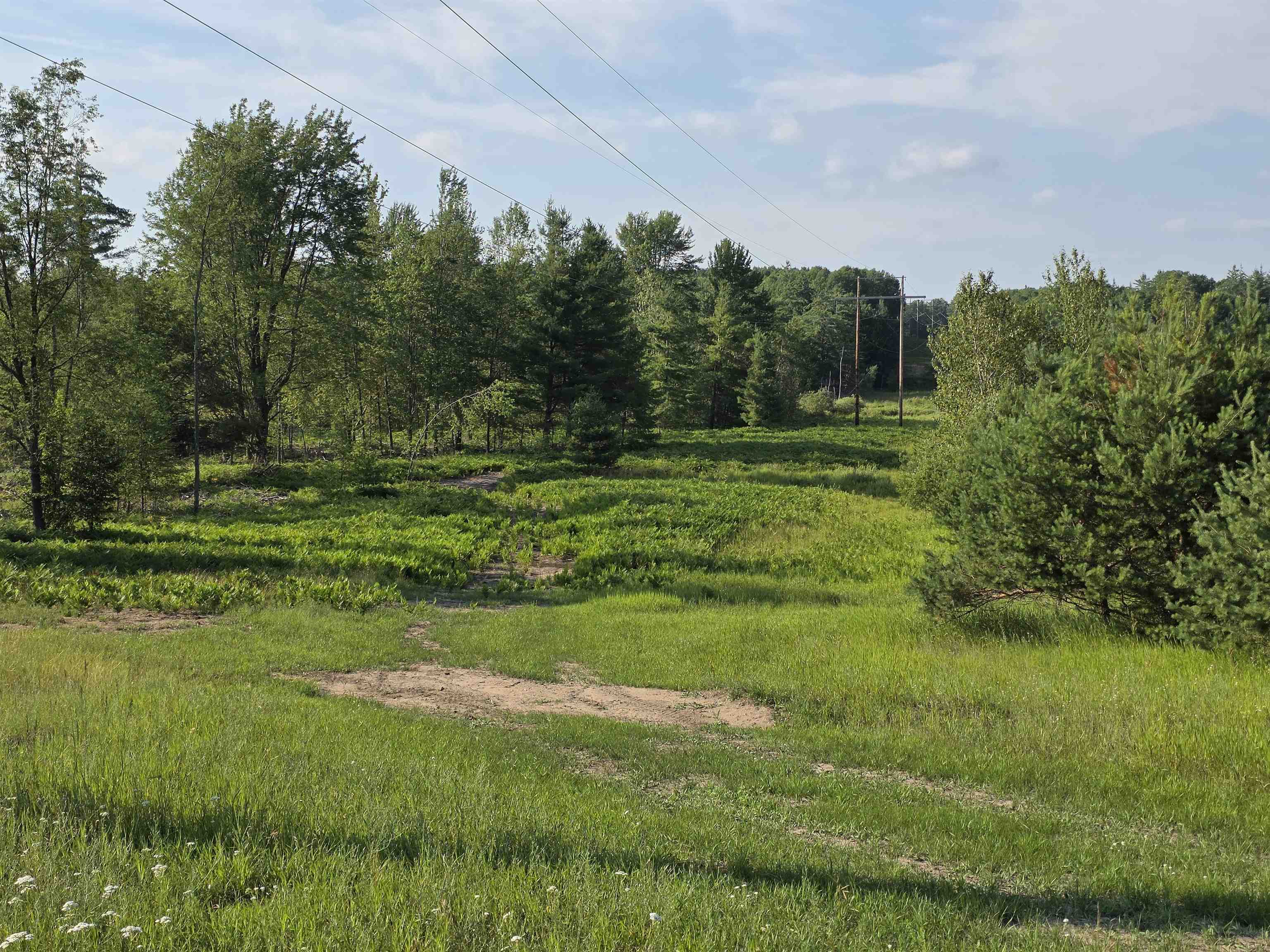 0 Arnold Road Manton, MI 49663 - Photo 26 of 63
