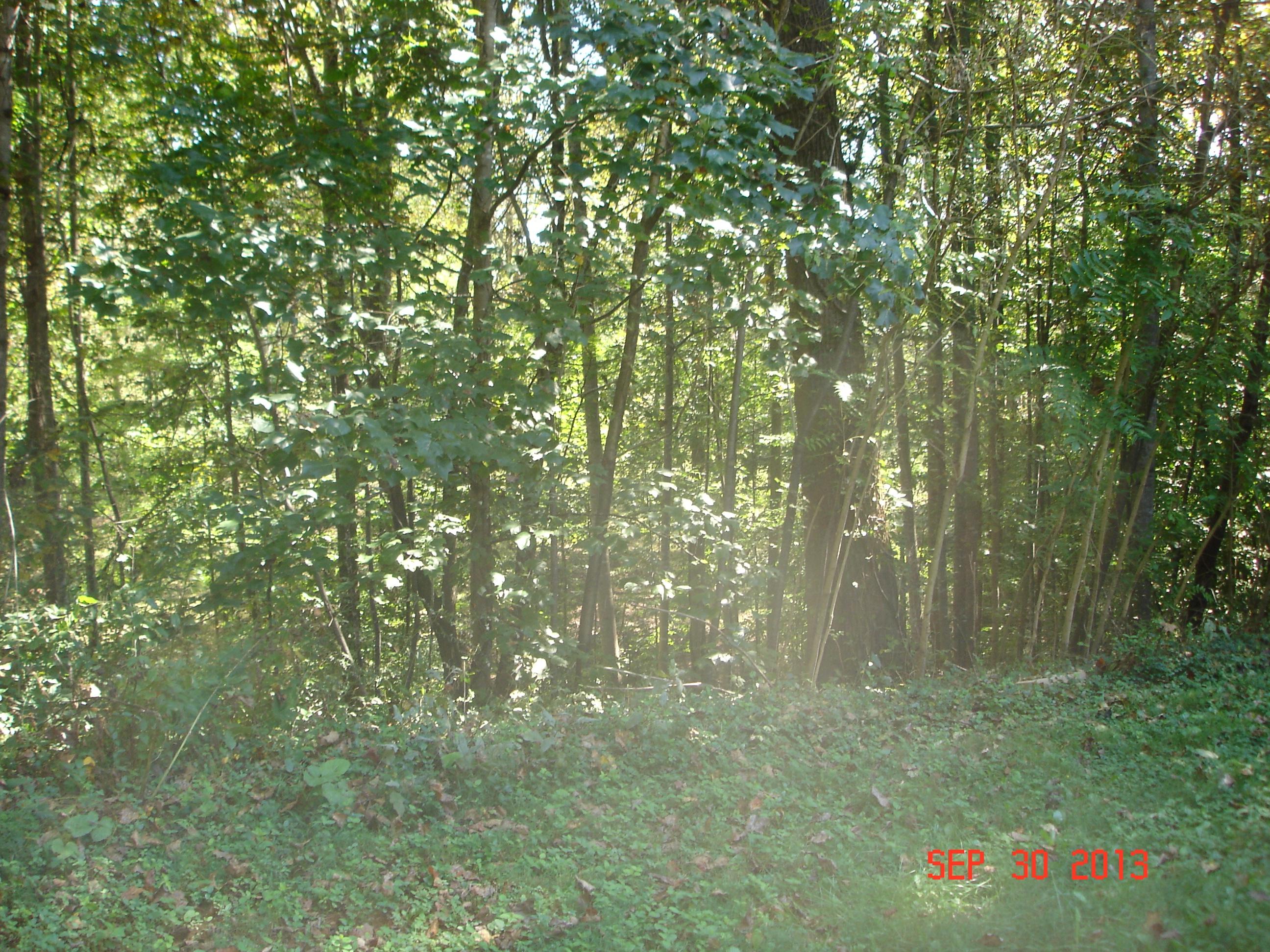 202 Forest Ridge Drive Vinton, VA 24179 - Photo 7 of 7 Forest Ridge7