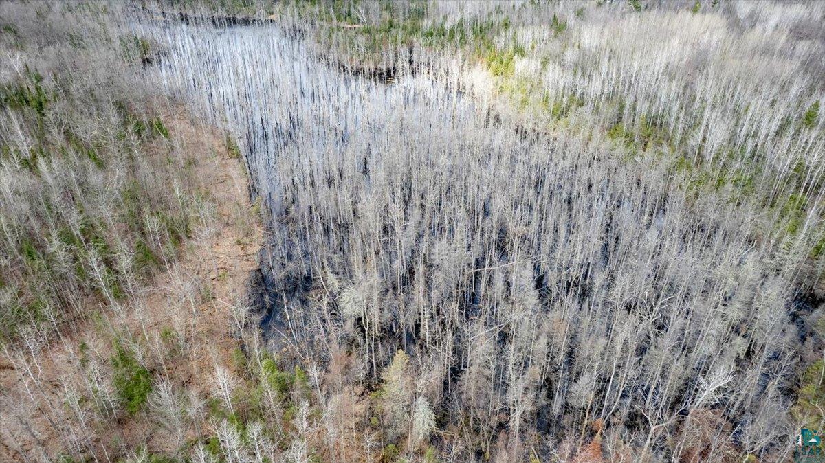 5600 Otto Road South Range, WI 54874 - Photo 11 of 12