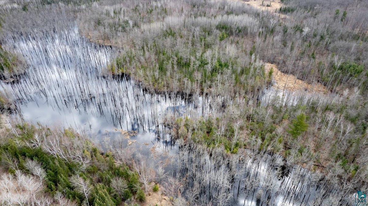 5600 Otto Road South Range, WI 54874 - Photo 12 of 12