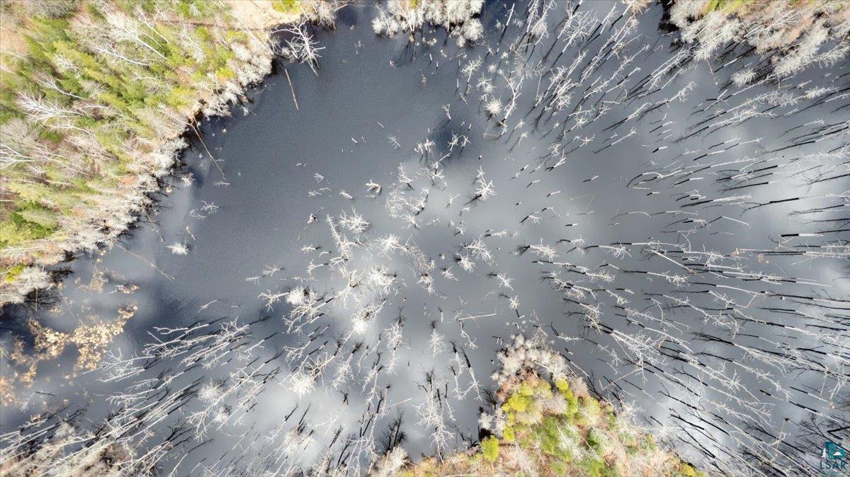 5600 Otto Road South Range, WI 54874 - Photo 8 of 12