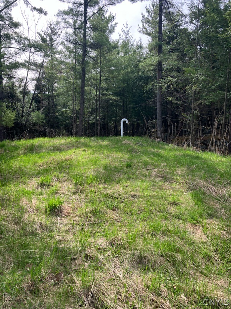 29809 Sears Road Theresa, NY 13679 - Photo 9 of 13
