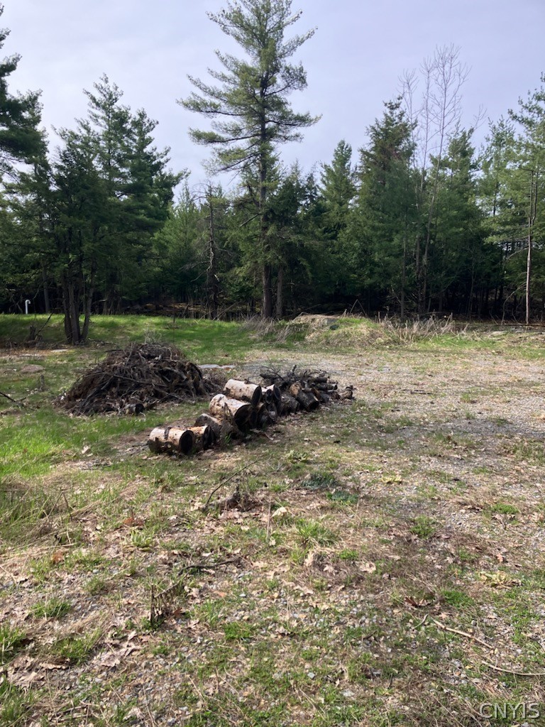 29809 Sears Road Theresa, NY 13679 - Photo 10 of 13