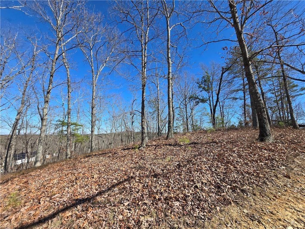 0 Brushy Mountain Road Rockmart, GA 30153 - Photo 8 of 10 a backyard of a house with lots of green space