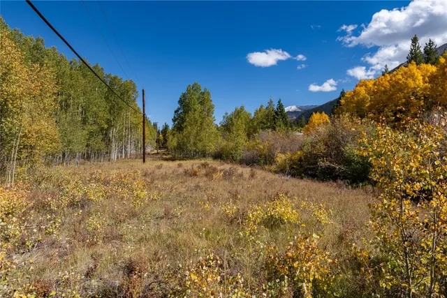 a view of road and covered with fog