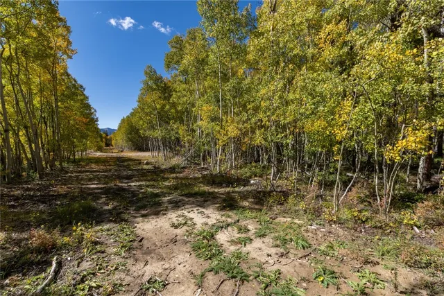 a view of road with trees