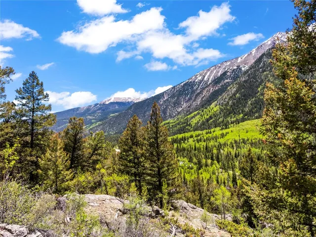 a sign that is sitting in front of a tree