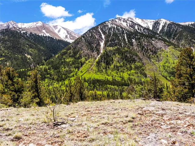 a view of a yard in front of the house
