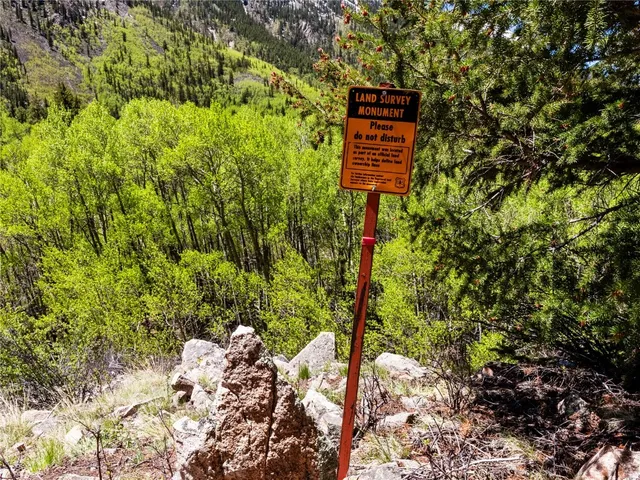 a green field with lots of bushes