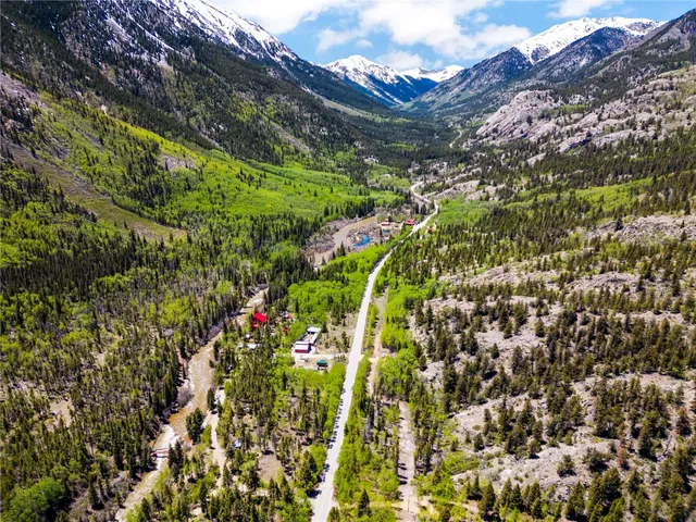 a view of a garden with plants and large trees