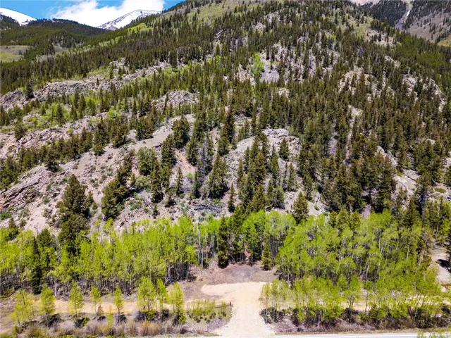 $2,200,000 | 10575 Highway 82, Twin Lakes, CO 81251