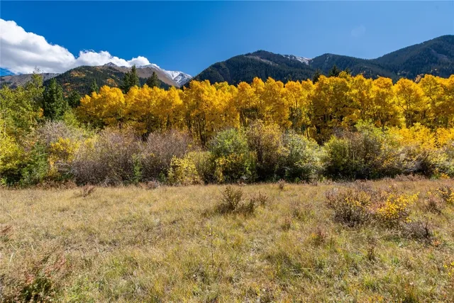 a view of a large yard