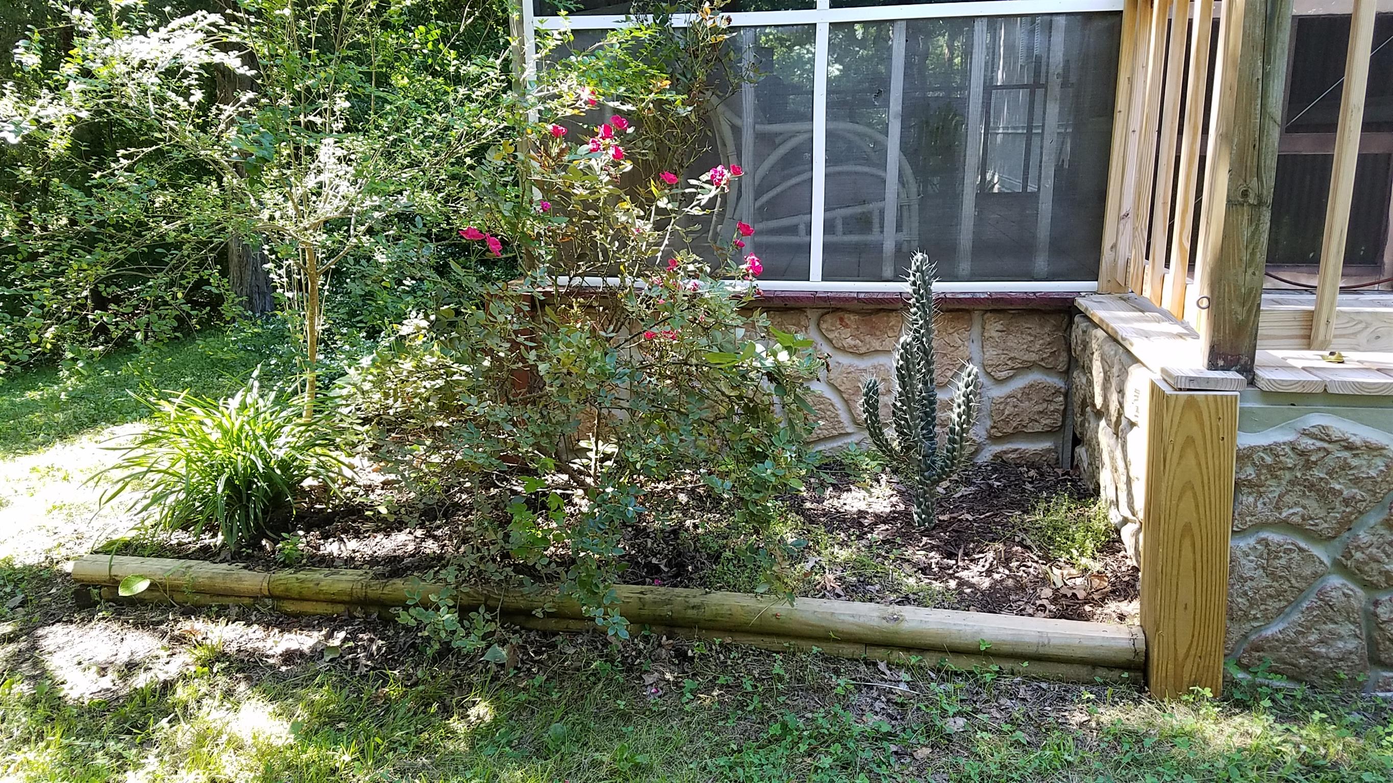 7128 Cuba Landing Road Waverly, TN 37185 - Photo 3 of 13 Beautiful landscaping