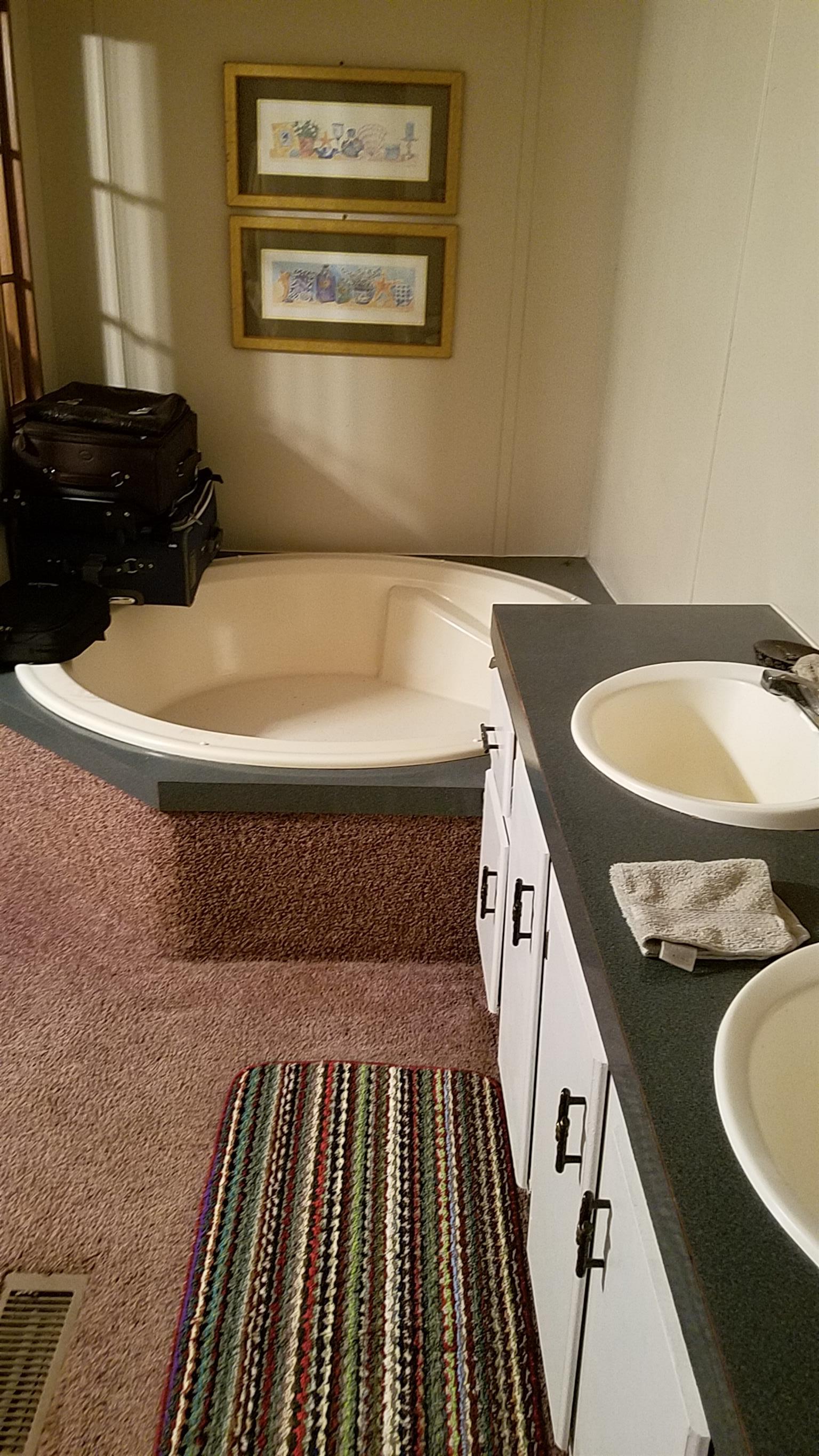 7128 Cuba Landing Road Waverly, TN 37185 - Photo 10 of 13 Double sinks & garden tub in master