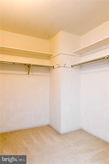 1721 Ivy Oak Square Reston, VA 20190 - Photo 34 of 40 Closet