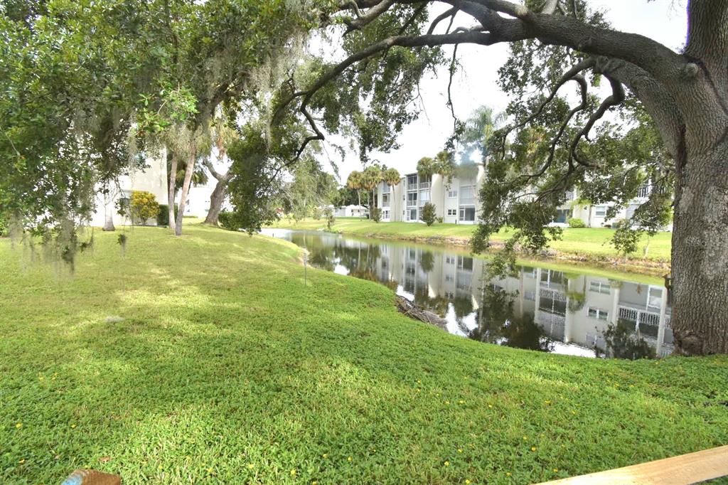 940 Virginia Street, Unit 108 Dunedin, FL 34698 - Photo 4 of 50