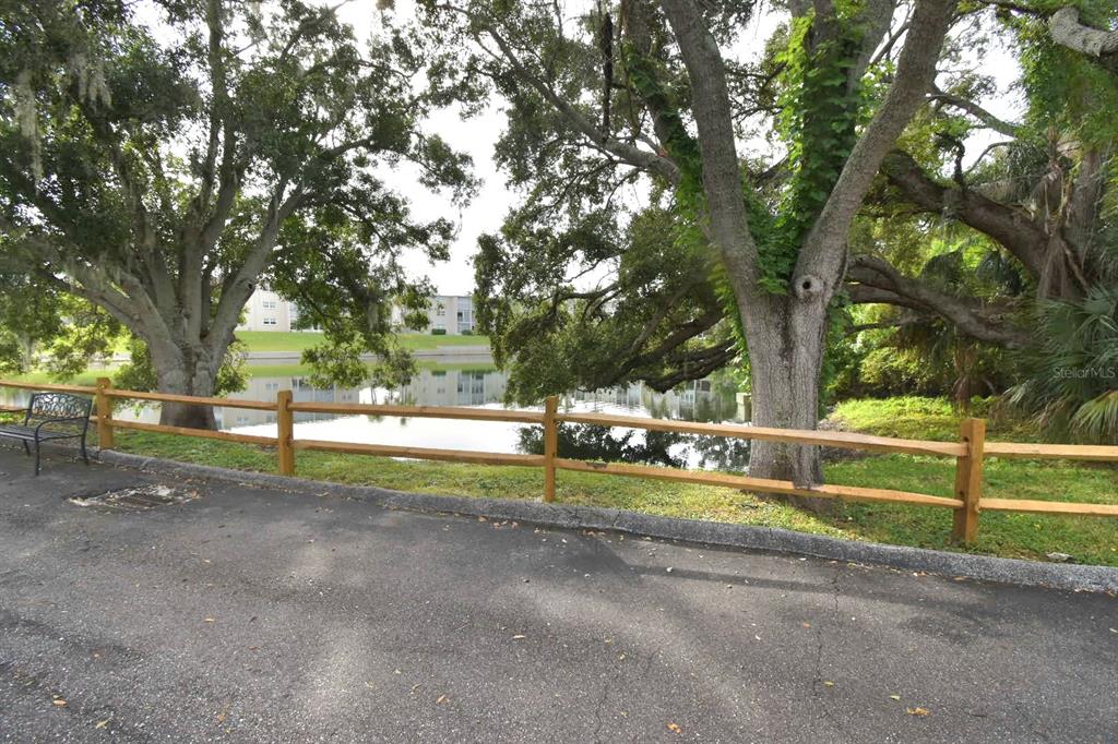 940 Virginia Street, Unit 108 Dunedin, FL 34698 - Photo 5 of 50