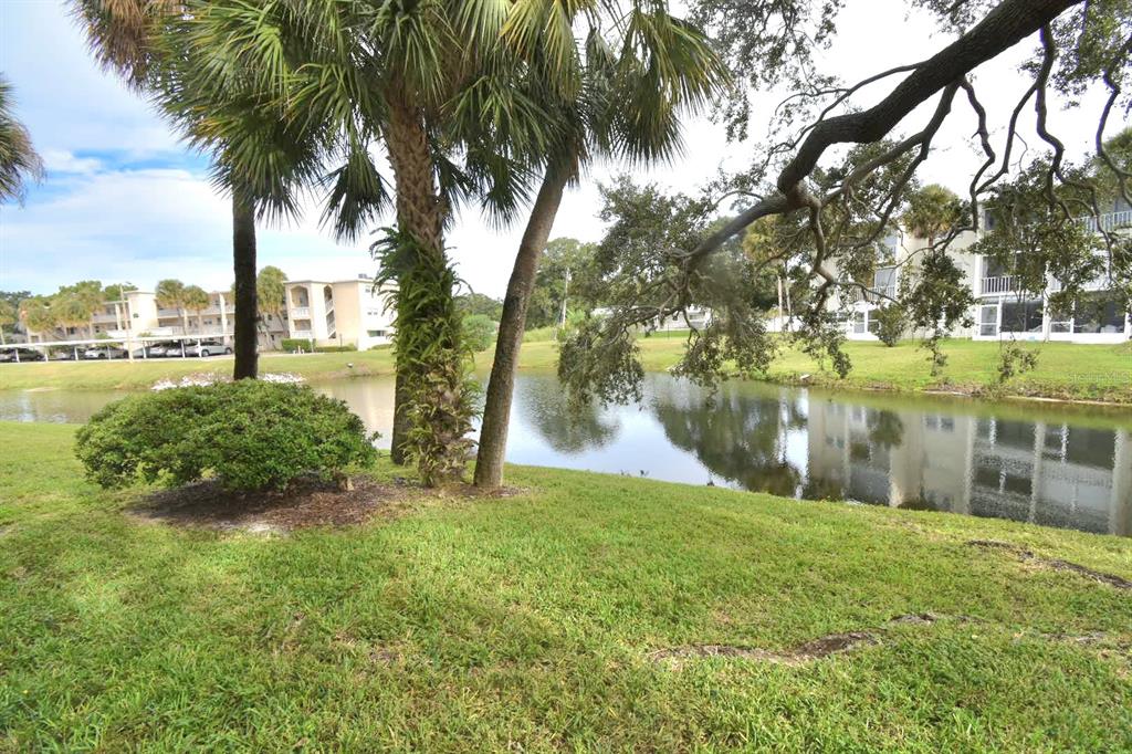 940 Virginia Street, Unit 108 Dunedin, FL 34698 - Photo 8 of 50