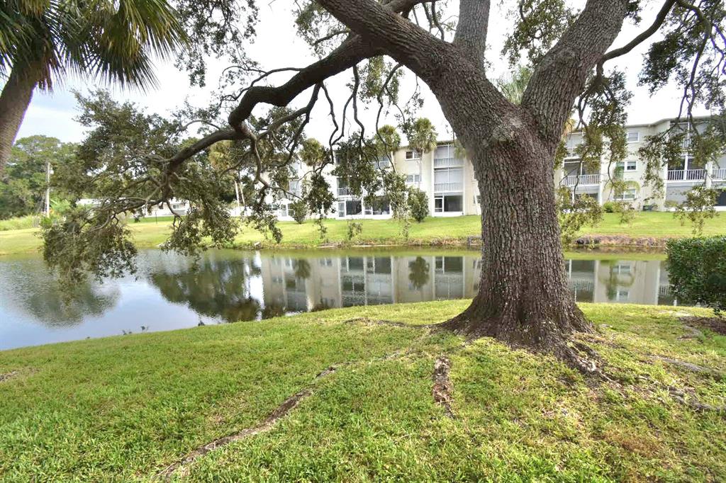 940 Virginia Street, Unit 108 Dunedin, FL 34698 - Photo 9 of 50