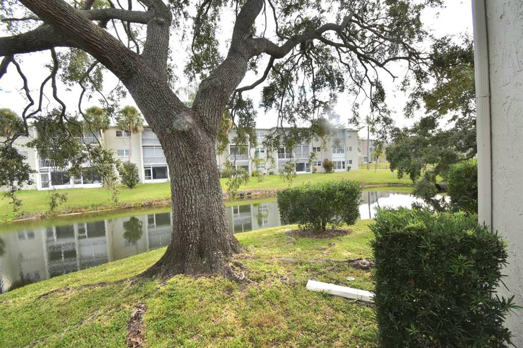 940 Virginia Street, Unit 108 Dunedin, FL 34698 - Photo 10 of 50