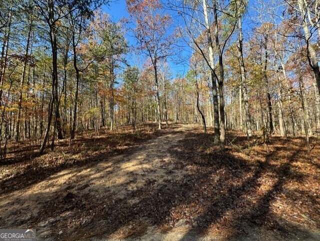 122 Ami Cemetery Road Menlo, GA 30731 - Photo 1 of 1 Gallery Image 1