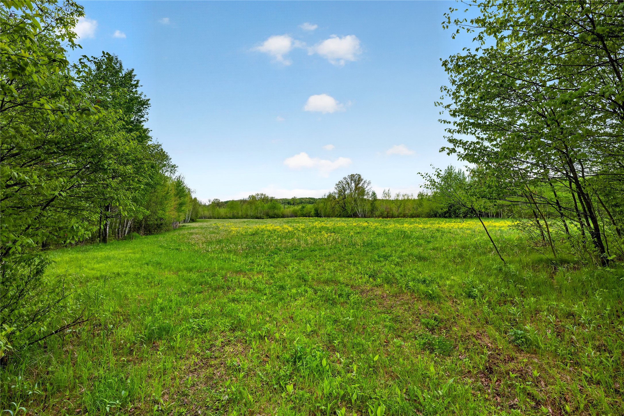 N8771 Fye Road Trego, WI 54888 - Photo 15 of 47