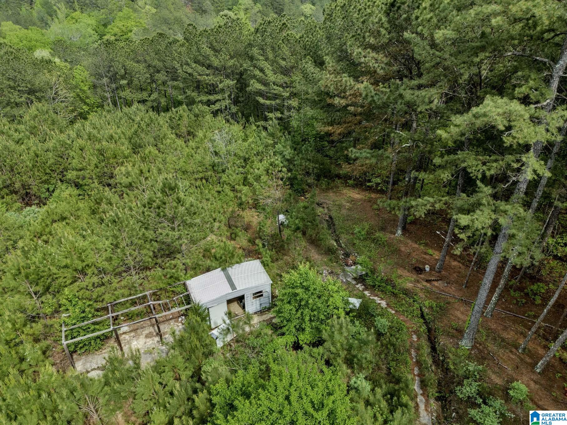 4634 Old Pineywoods Road Jasper, AL 35504 - Photo 32 of 33