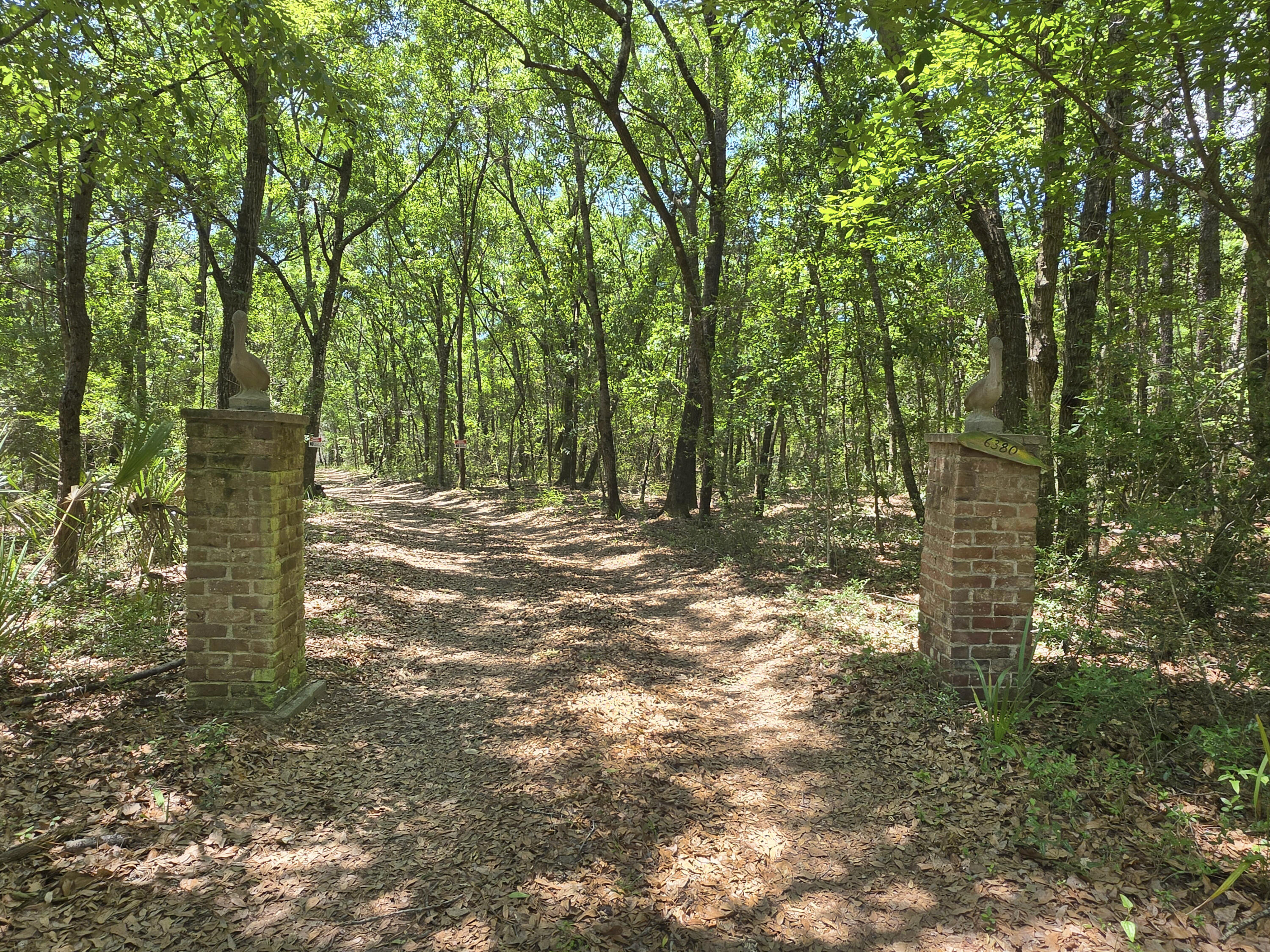 6380 Come About Way Awendaw, SC 29429 - Photo 6 of 30 6-entrance