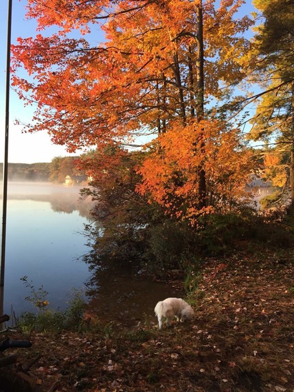 21 Hay Road Ashburnham, MA 01430 - Photo 5 of 5 Gallery Image 5