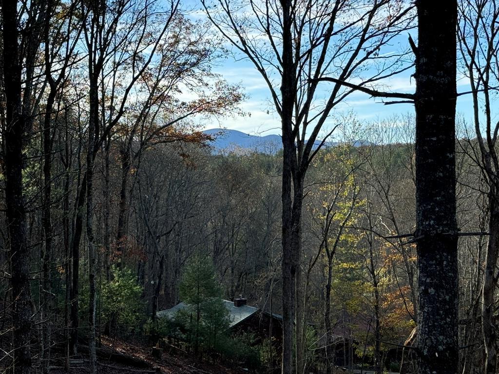 110 Pigeon Creek Road Blue Ridge, GA 30513 - Photo 1 of 64 Main View