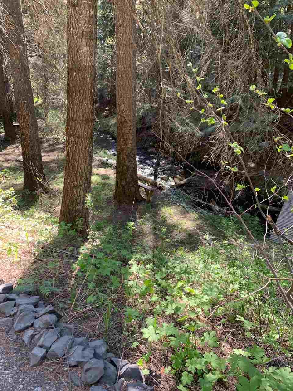 3401 Deeter Road Newport, WA 99156 - Photo 5 of 8 Gallery Image 5