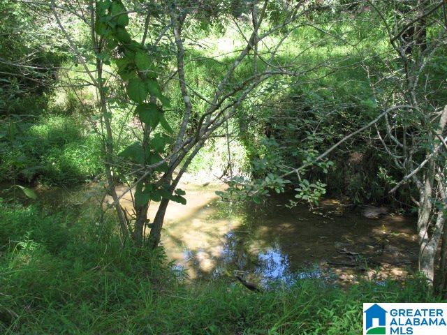 1950 Steele Station, Unit 59 AC Steele, AL 35987 - Photo 7 of 12