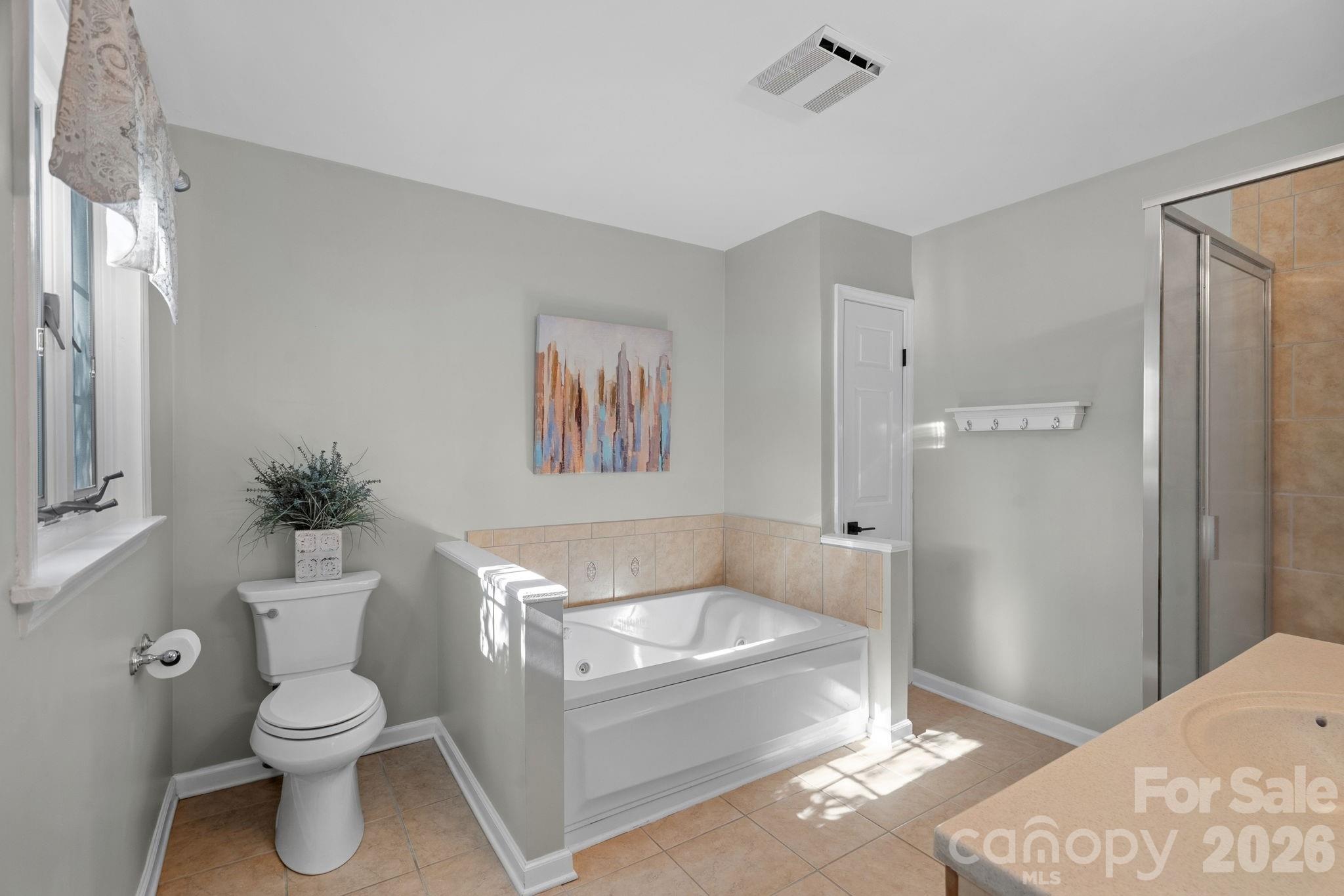385 Sundown Road Mooresville, NC 28117 - Photo 19 of 47